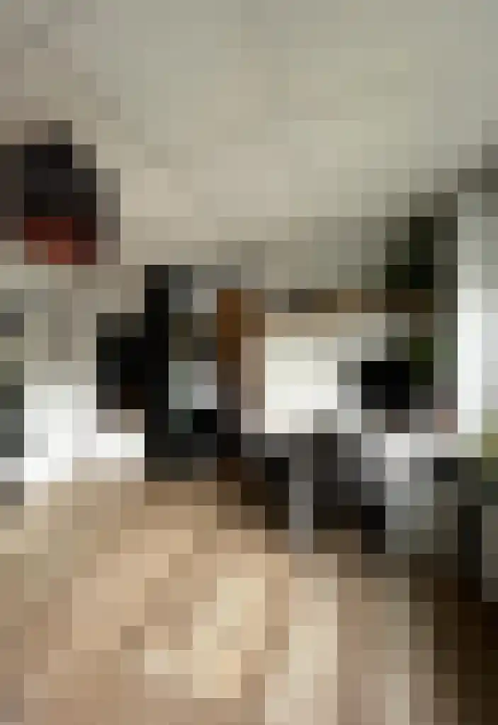 Schuttevaerkade 2 3 Zwolle thumbnail 5