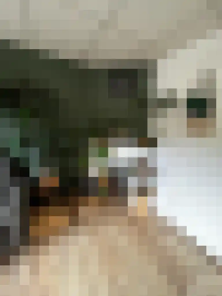 Schuttevaerkade 2 3 Zwolle thumbnail 6