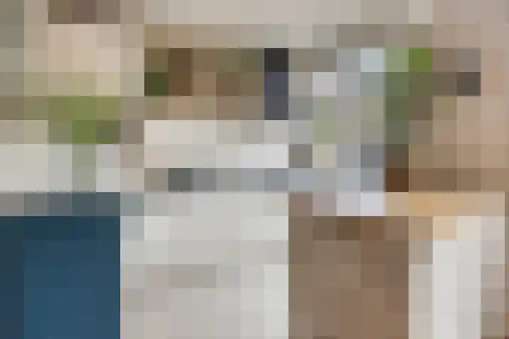 Schuttevaerkade 26 Zwolle thumbnail 11