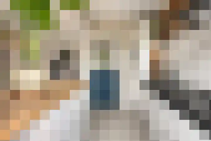 Schuttevaerkade 26 Zwolle thumbnail 12