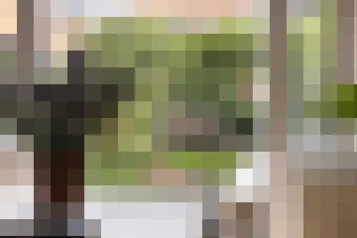 Schuttevaerkade 26 Zwolle thumbnail 13