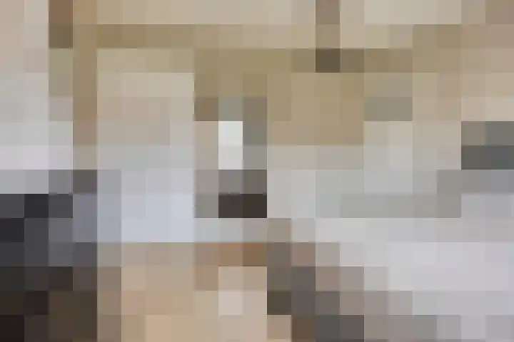 Schuttevaerkade 26 Zwolle thumbnail 16