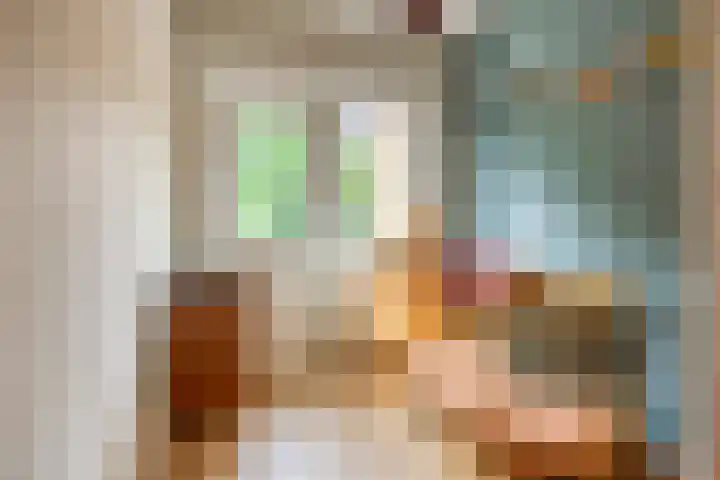 Schuttevaerkade 26 Zwolle thumbnail 21