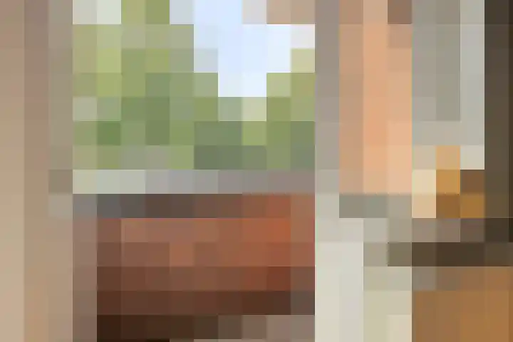 Schuttevaerkade 26 Zwolle thumbnail 22