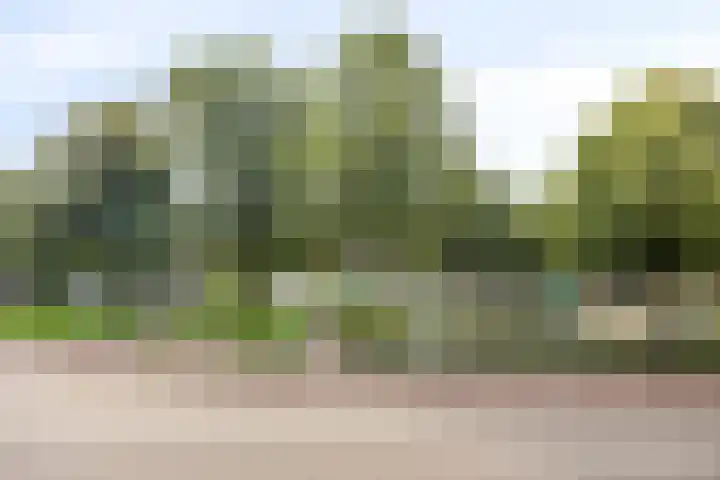 Schuttevaerkade 26 Zwolle thumbnail 23