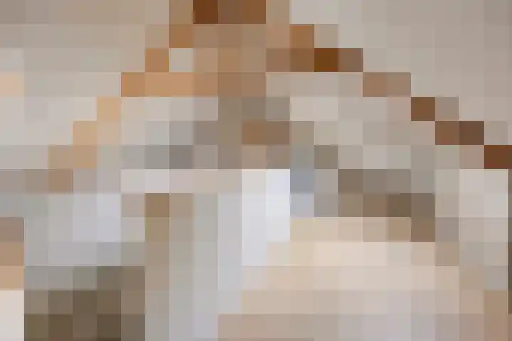 Schuttevaerkade 26 Zwolle thumbnail 26