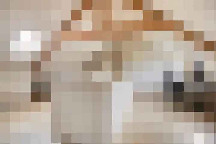 Schuttevaerkade 26 Zwolle thumbnail 27