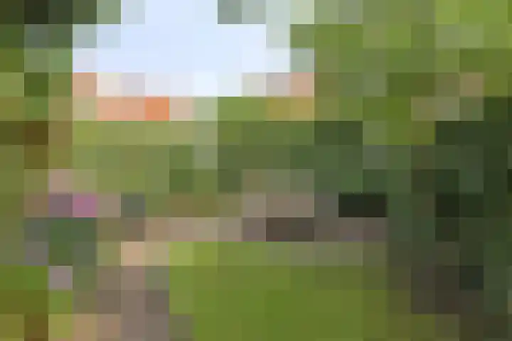 Schuttevaerkade 26 Zwolle thumbnail 29