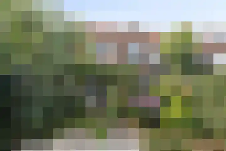 Schuttevaerkade 26 Zwolle thumbnail 30