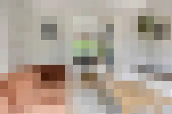 Schuttevaerkade 26 Zwolle thumbnail 4