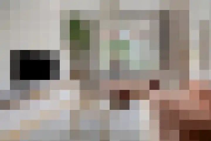 Schuttevaerkade 26 Zwolle thumbnail 6
