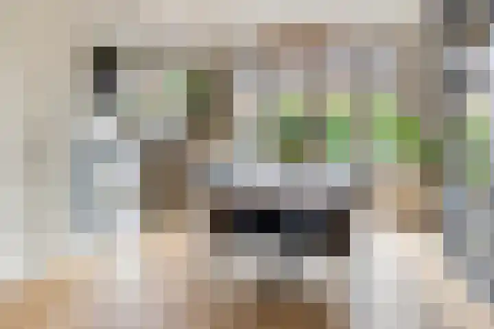 Schuttevaerkade 26 Zwolle thumbnail 8