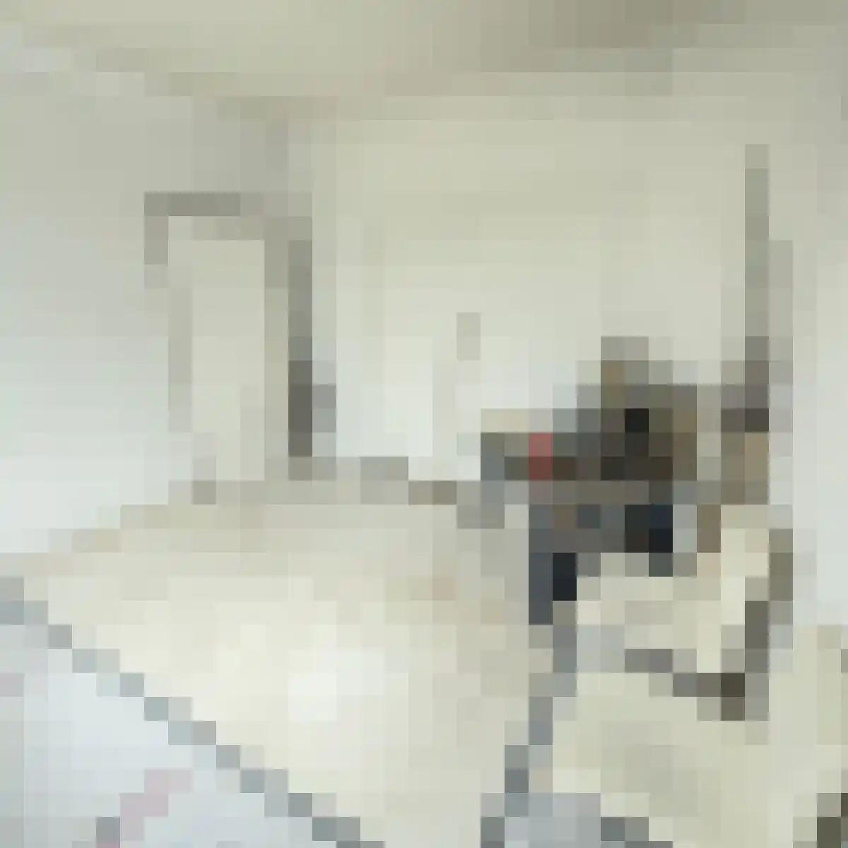 Schuttevaerkade 28 1 Zwolle thumbnail 4