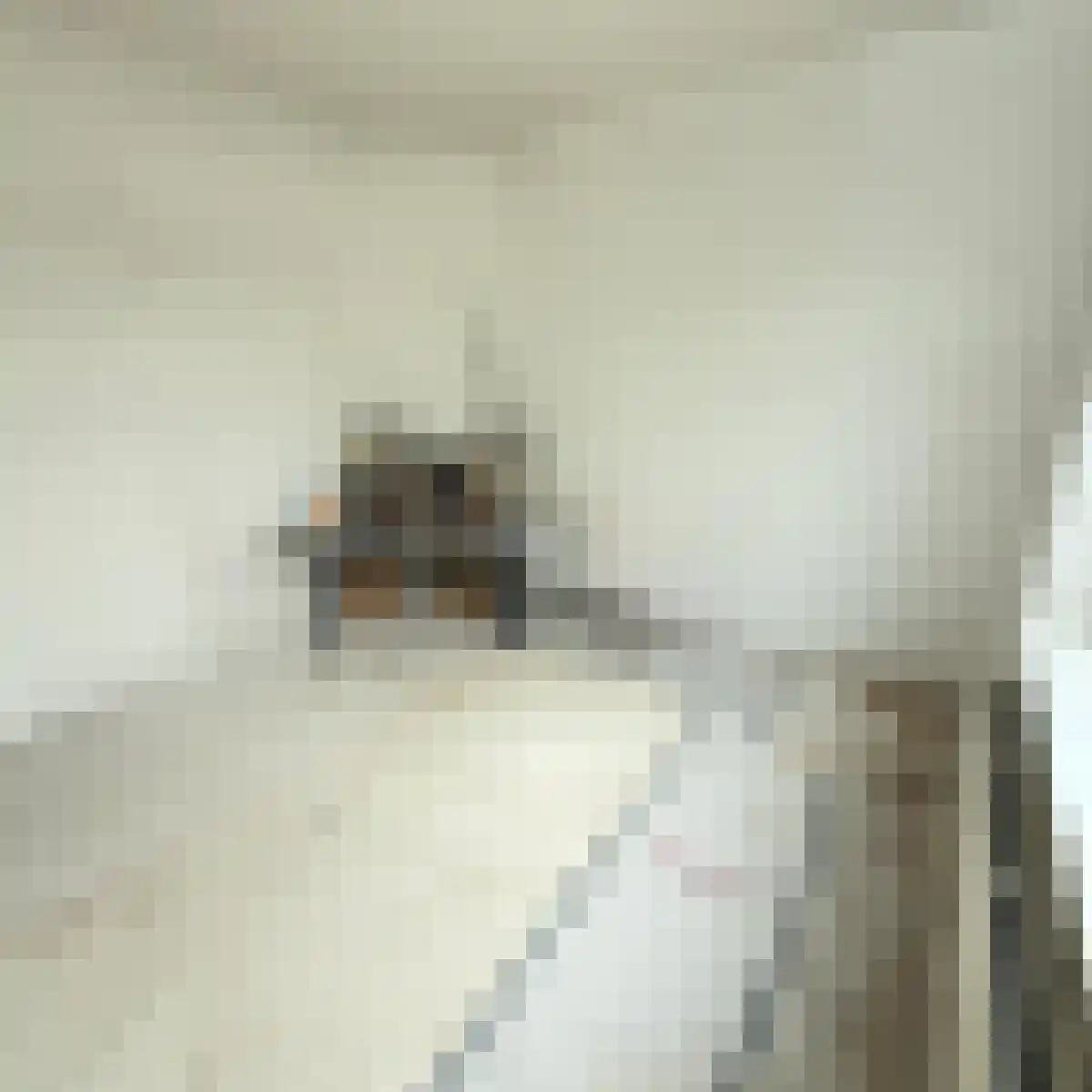 Schuttevaerkade 28 1 Zwolle thumbnail 5