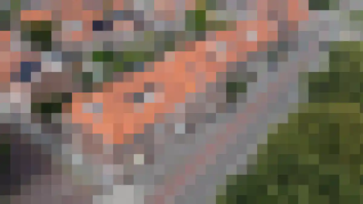 Schuttevaerkade 28 2 Zwolle
