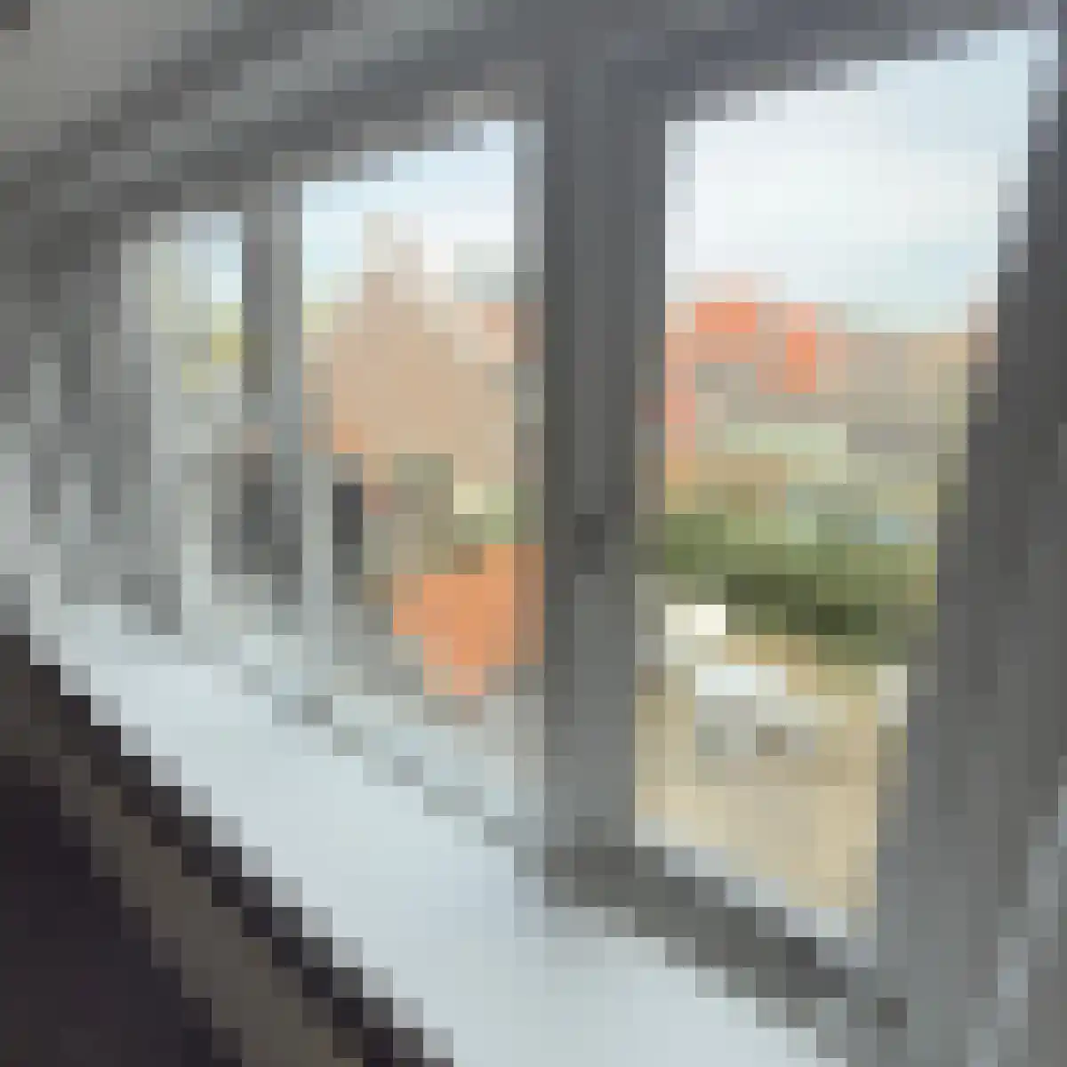 Schuttevaerkade 28 4 Zwolle thumbnail 6