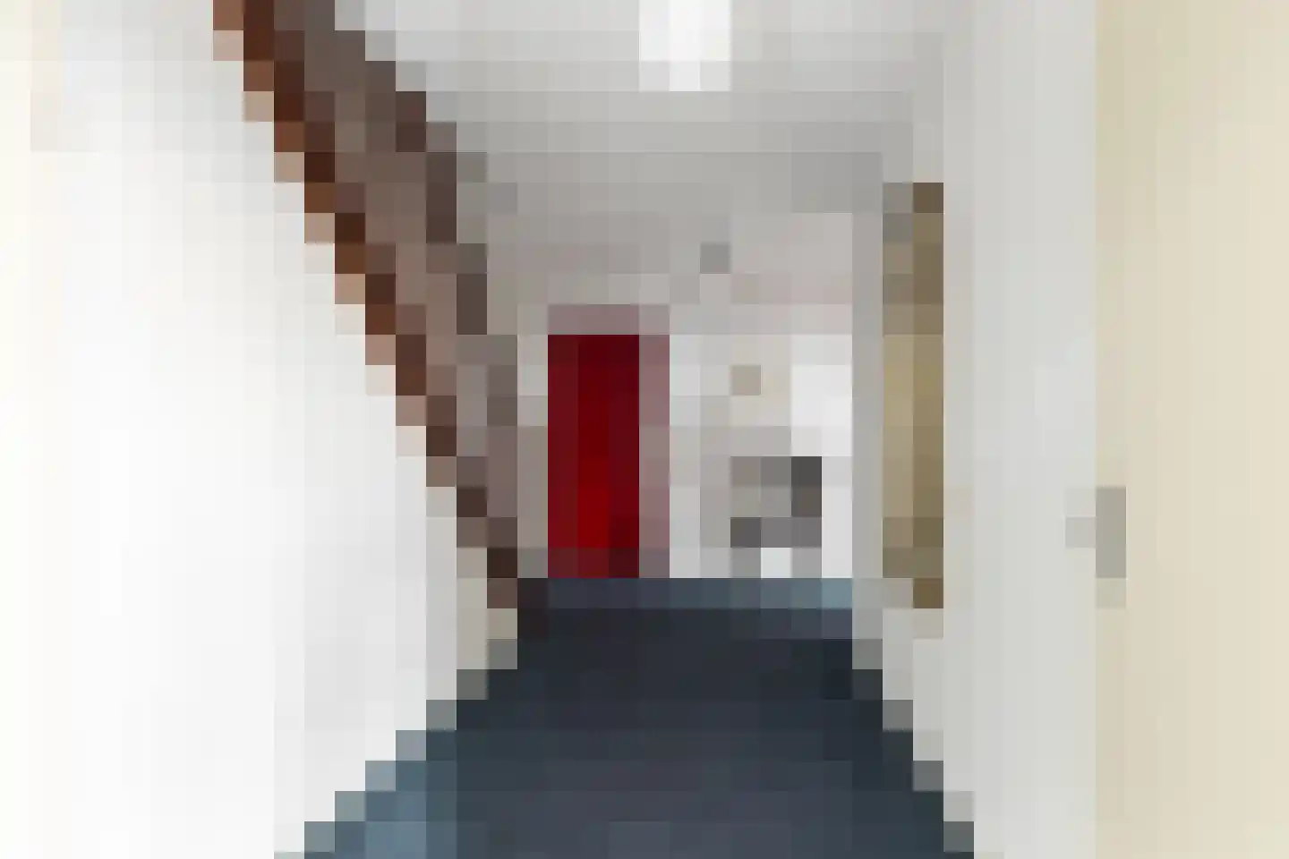 Schuttevaerkade 39 Dordrecht thumbnail 11