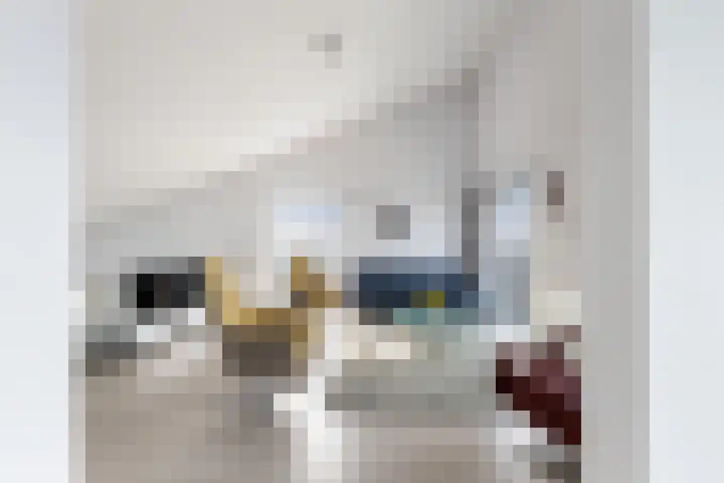 Schuttevaerkade 39 Dordrecht thumbnail 13