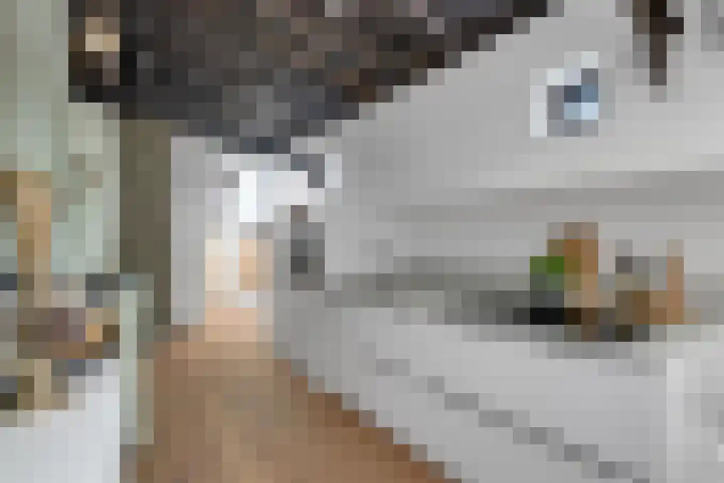 Schuttevaerkade 7 Zwolle thumbnail 10