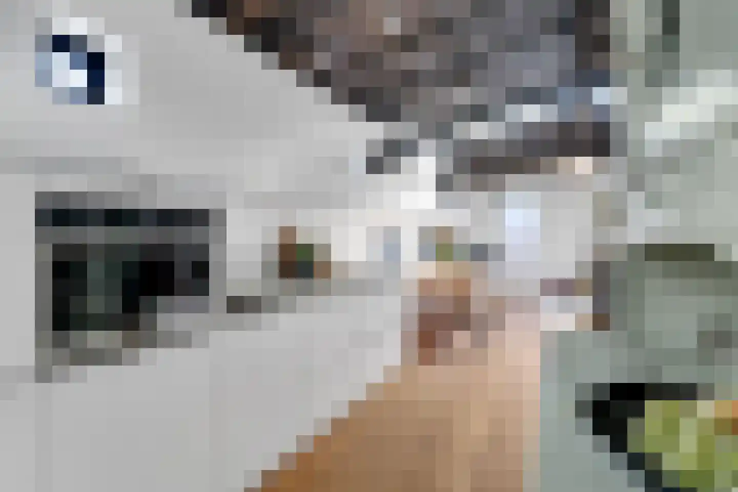 Schuttevaerkade 7 Zwolle thumbnail 11