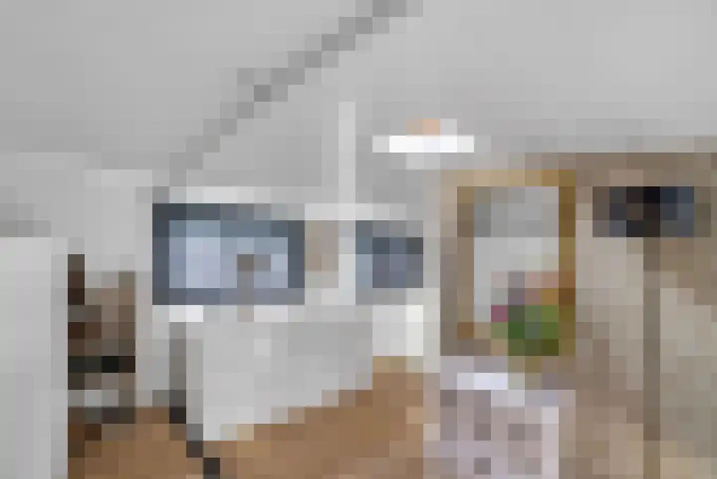 Schuttevaerkade 7 Zwolle thumbnail 12