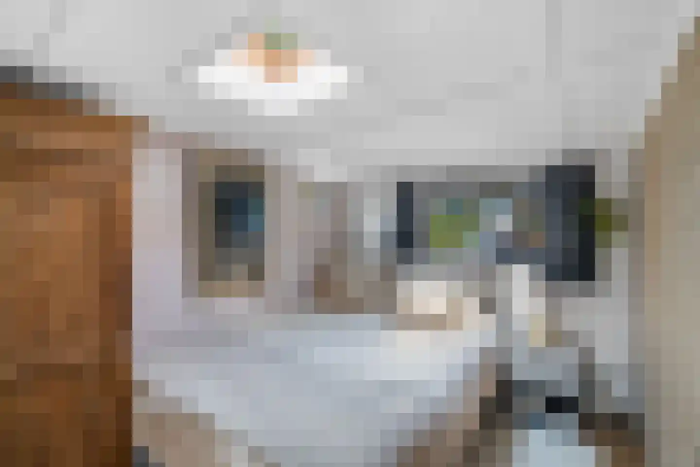 Schuttevaerkade 7 Zwolle thumbnail 14
