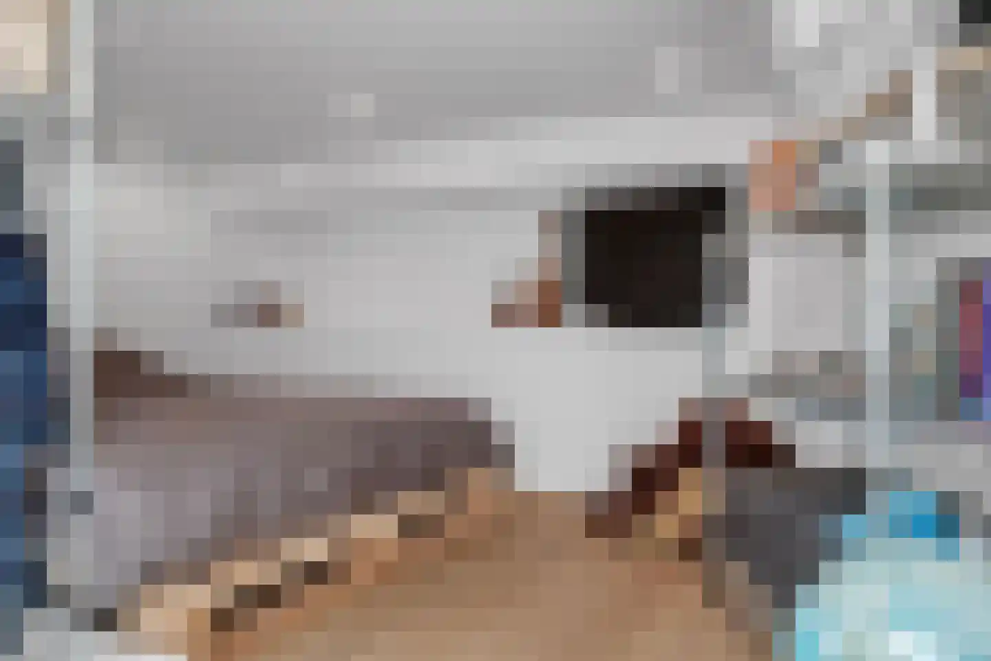Schuttevaerkade 7 Zwolle thumbnail 20