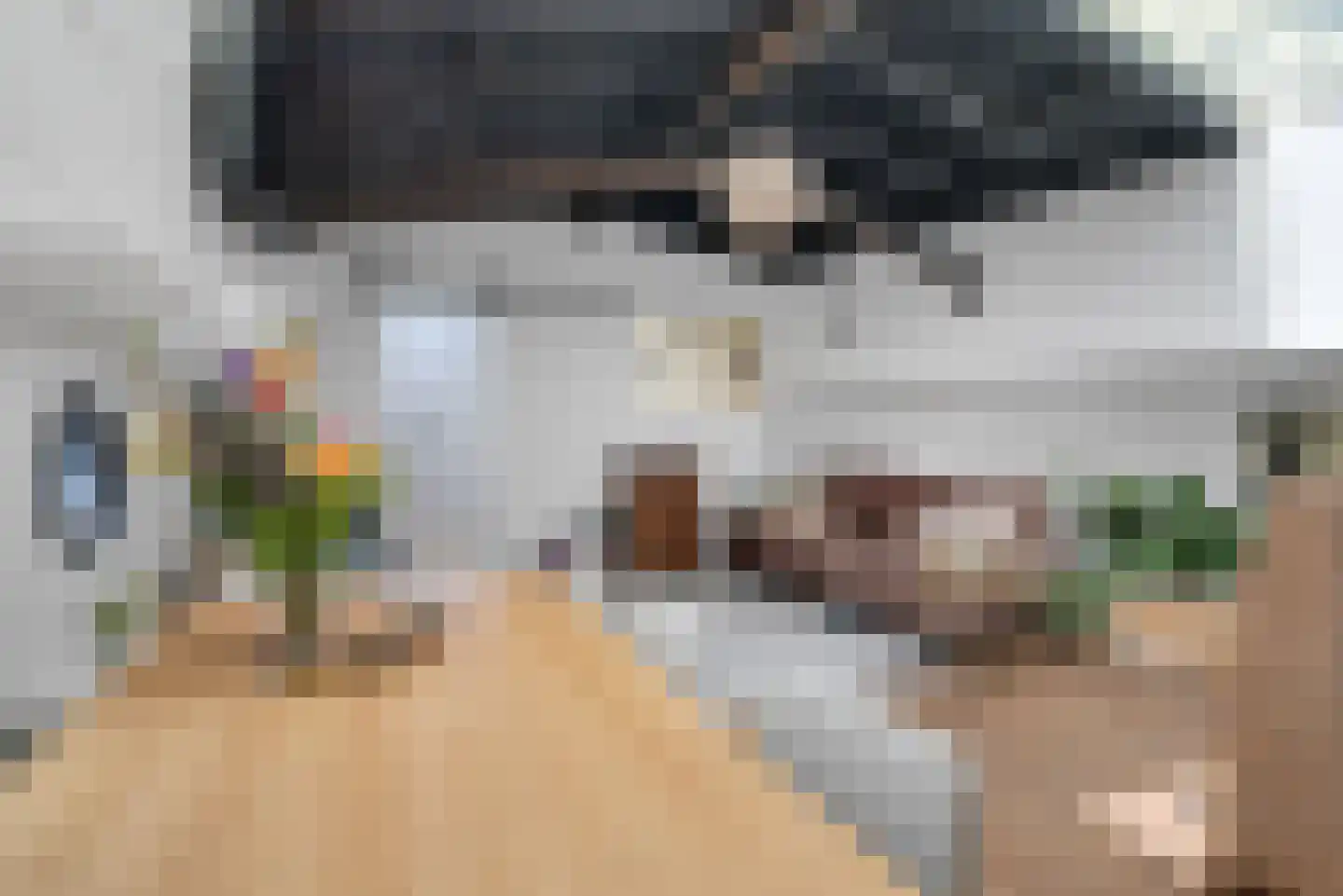 Schuttevaerkade 7 Zwolle thumbnail 4