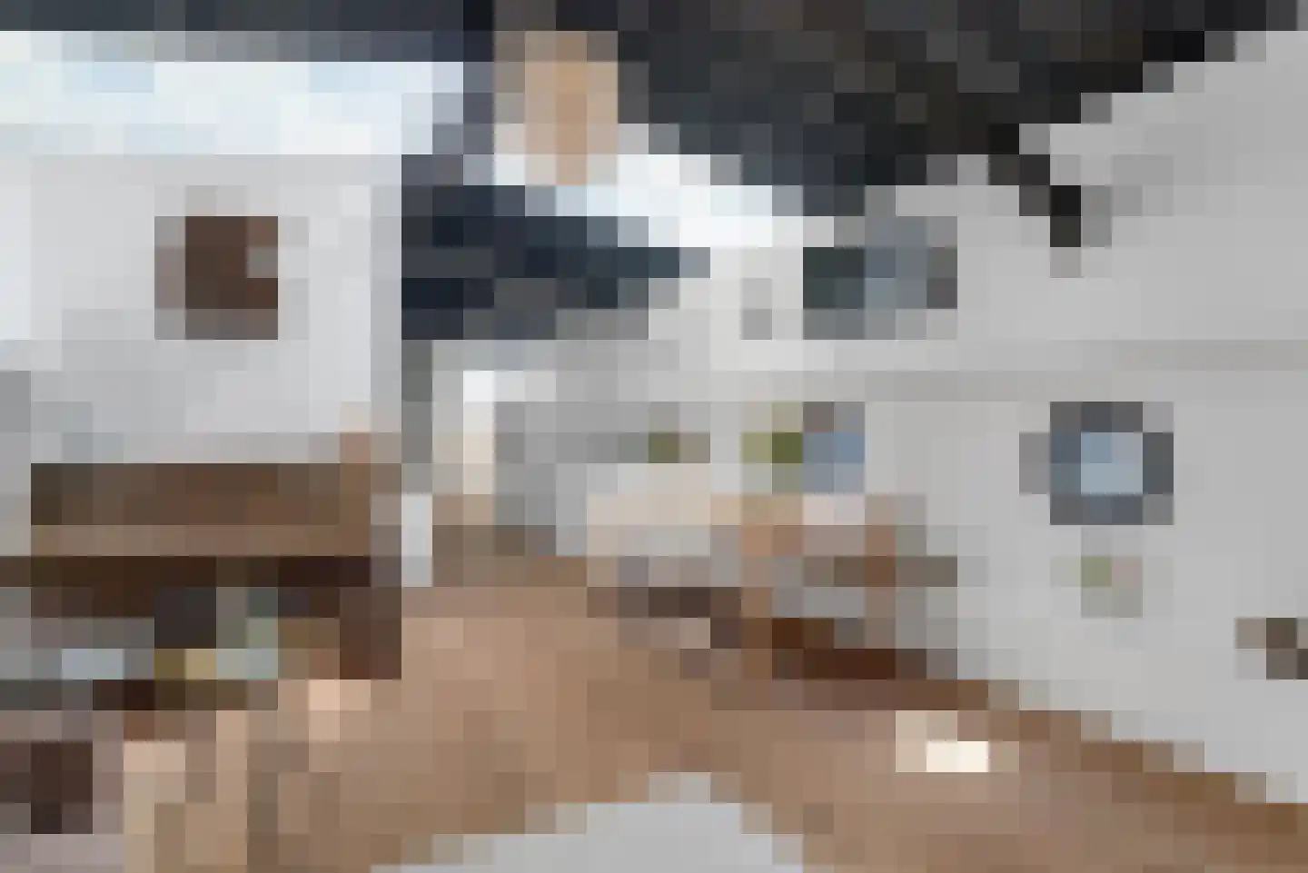 Schuttevaerkade 7 Zwolle thumbnail 7
