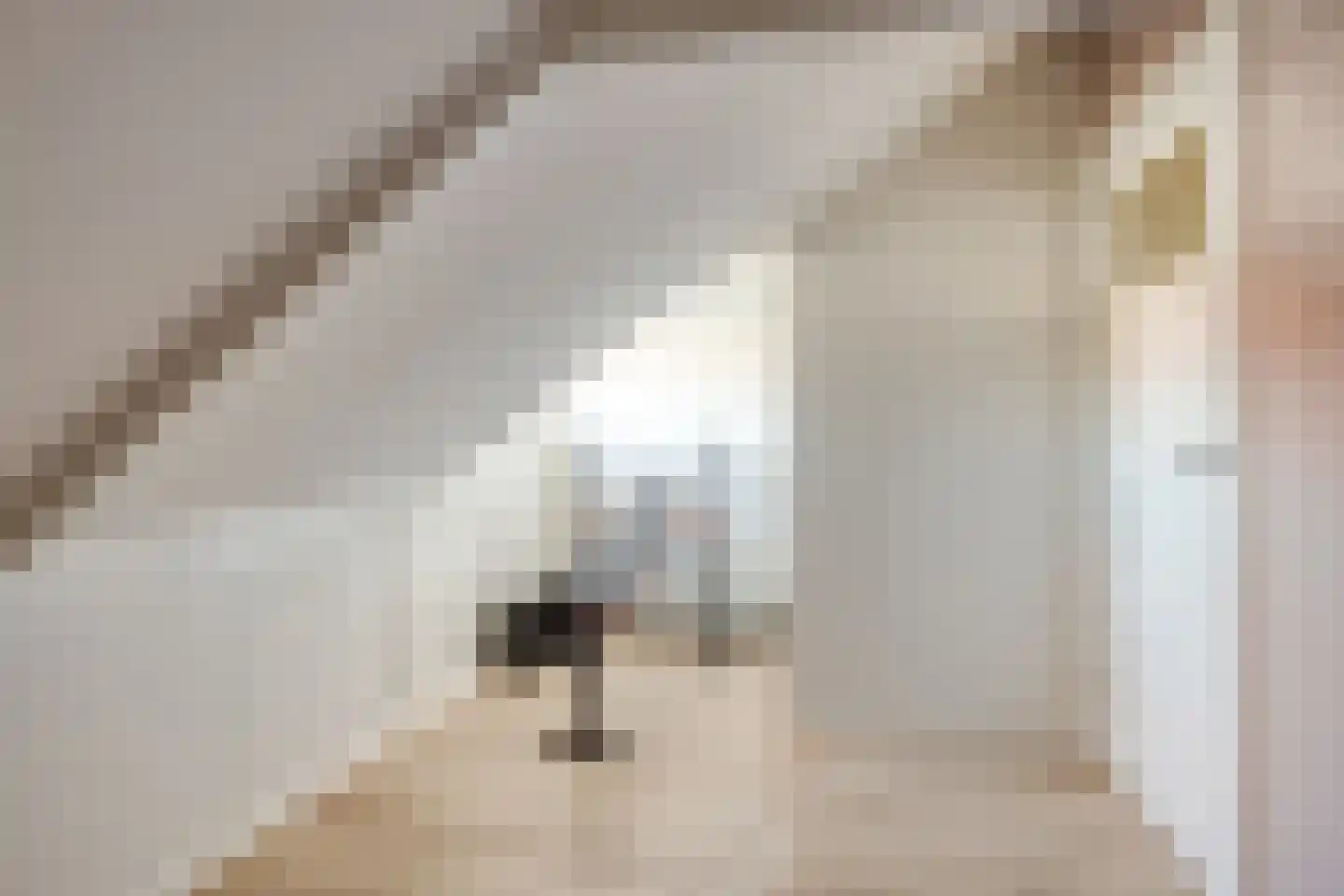 Schuttevaerstraat 14 Meppel thumbnail 34