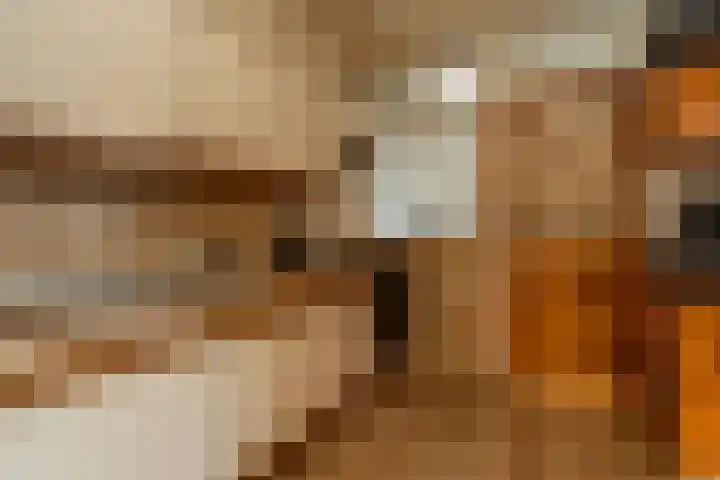 Schuttevaerstraat 7 Gasselternijveen thumbnail 14