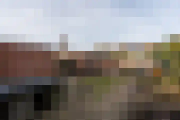 Schuttevaerstraat 7 Gasselternijveen thumbnail 31