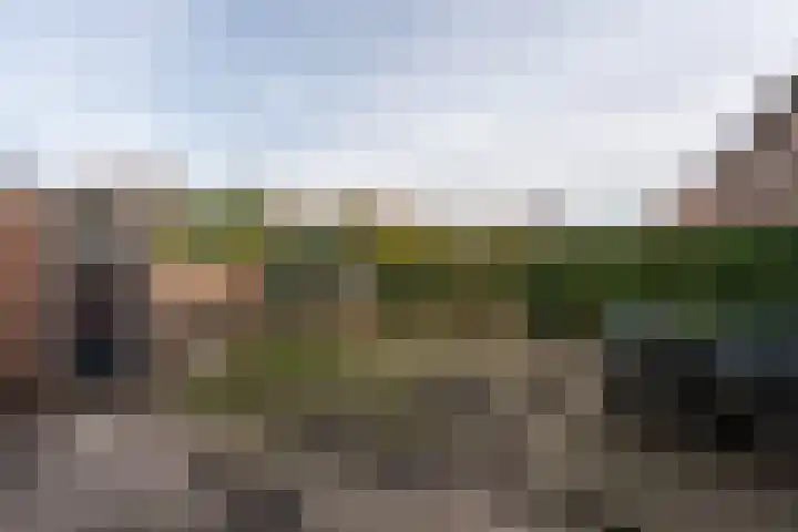 Schuttevaerstraat 7 Gasselternijveen thumbnail 32