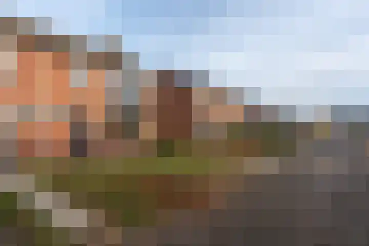 Schuttevaerstraat 7 Gasselternijveen thumbnail 35