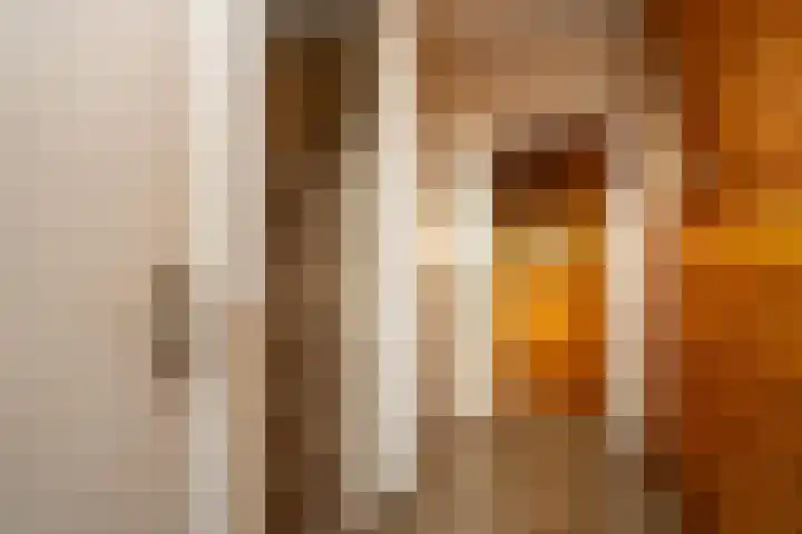 Schuttevaerstraat 7 Gasselternijveen thumbnail 5