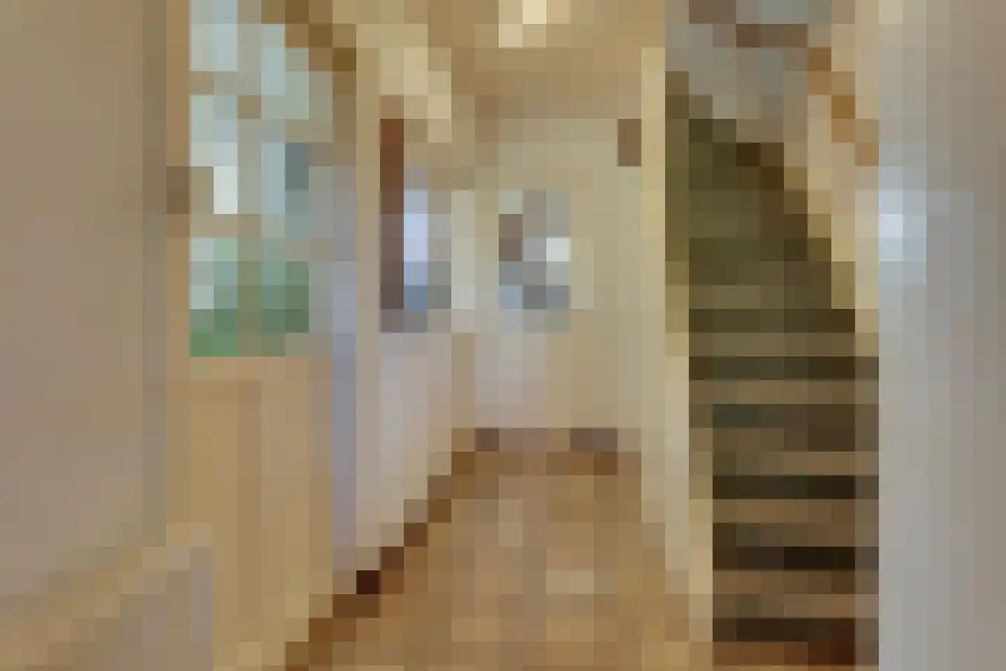 Schuttevaerstraat 7 Meppel thumbnail 17