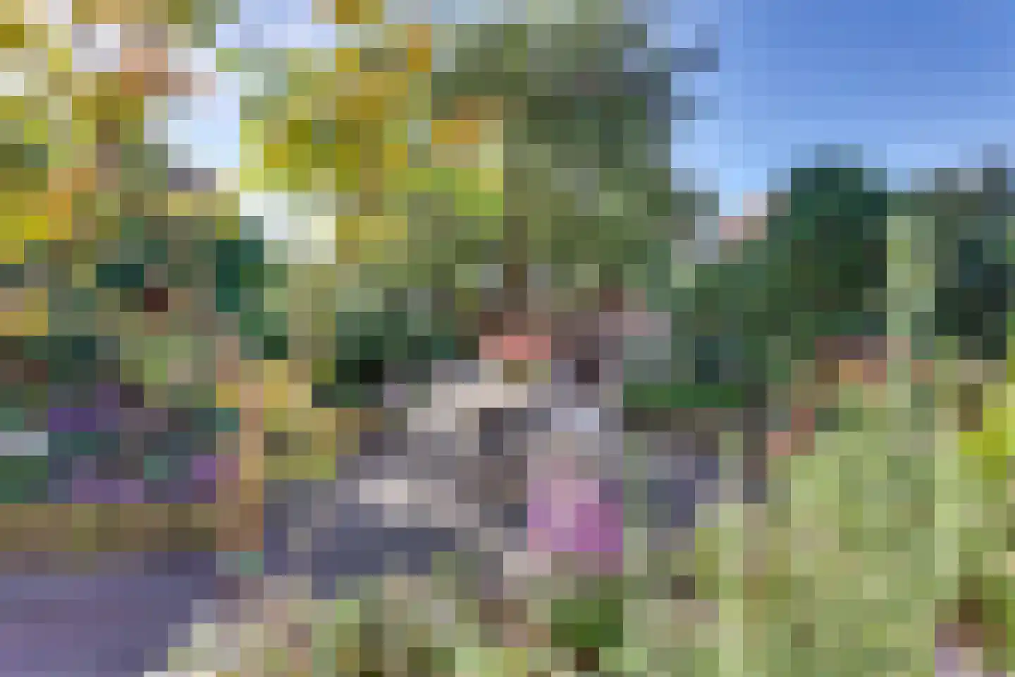 Schuttevaerstraat 7 Meppel thumbnail 36