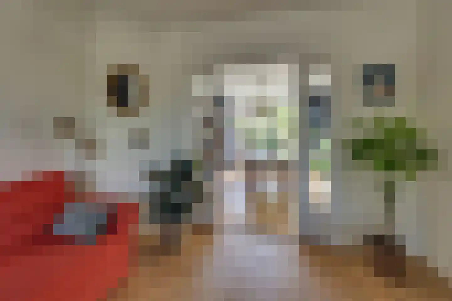 Schuttevaerstraat 7 Meppel thumbnail 4