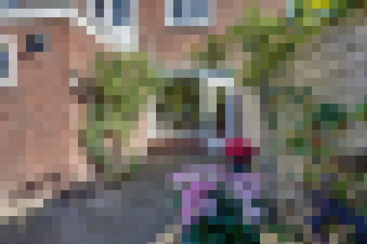 Schuttevaerstraat 7 Meppel thumbnail 40