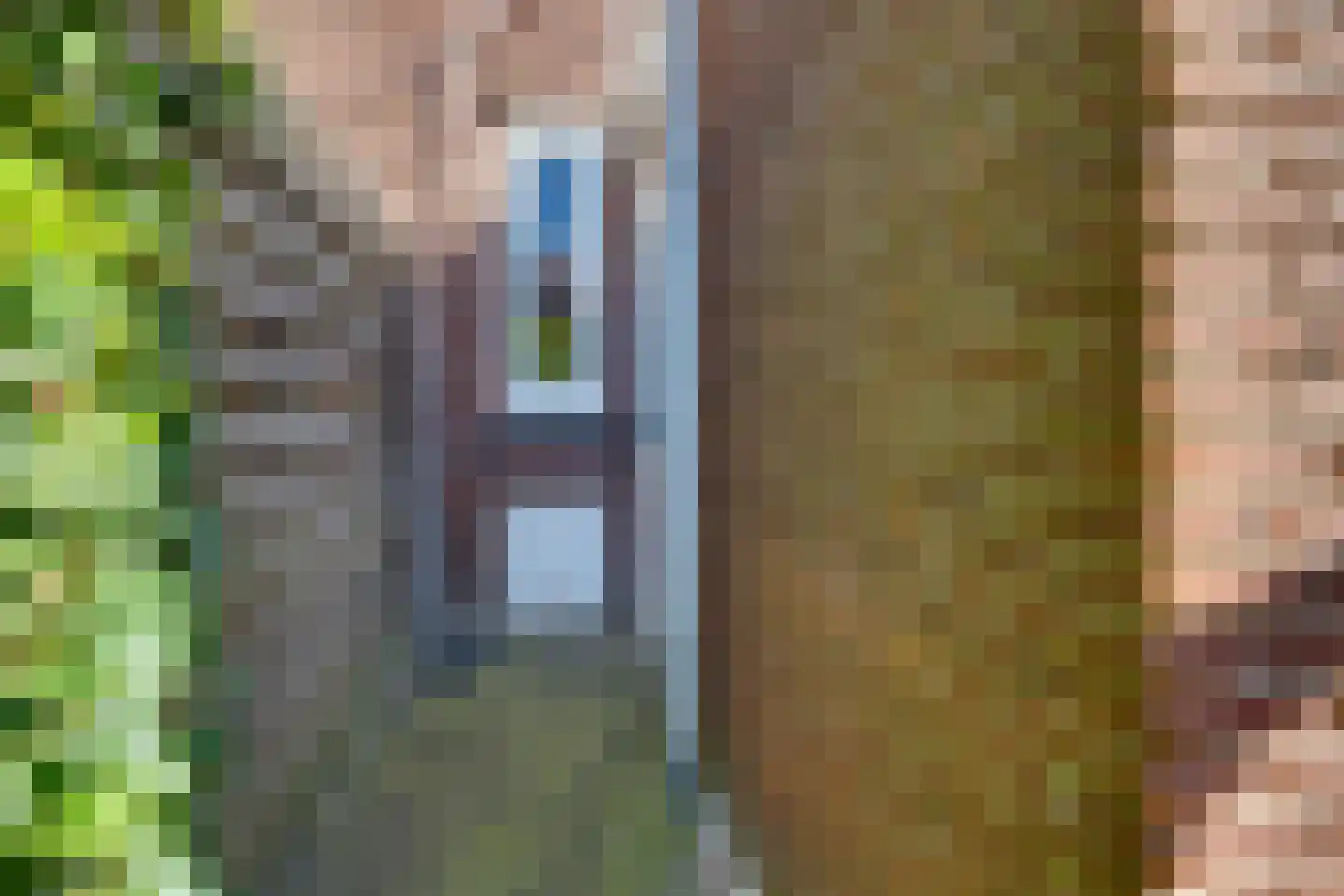 Schuttevaerstraat 7 Meppel thumbnail 41