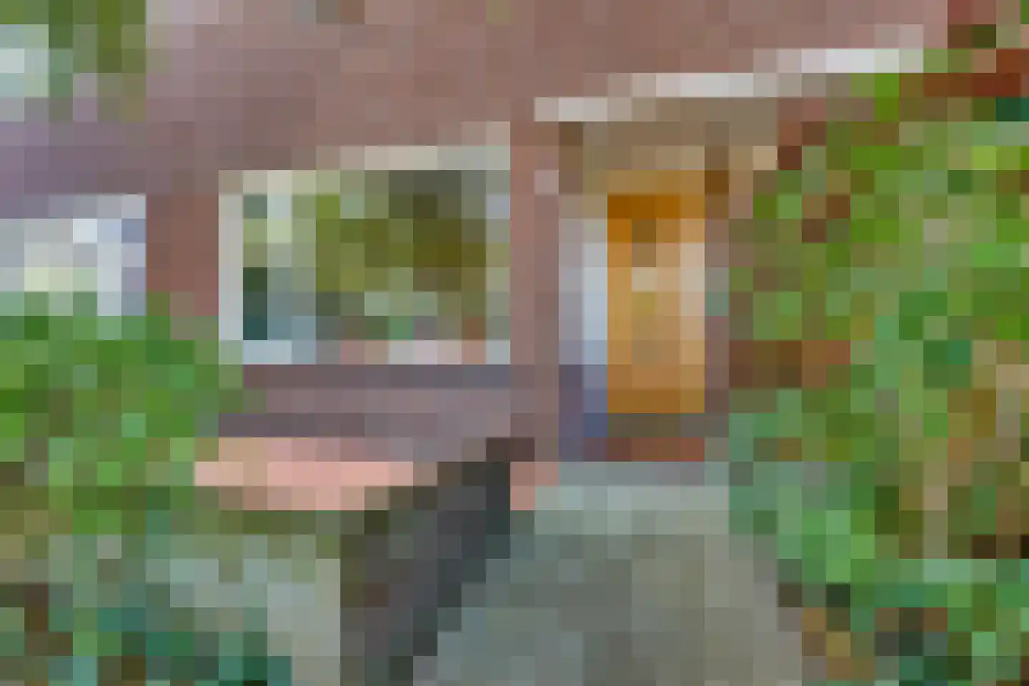 Schuttevaerstraat 7 Meppel thumbnail 44