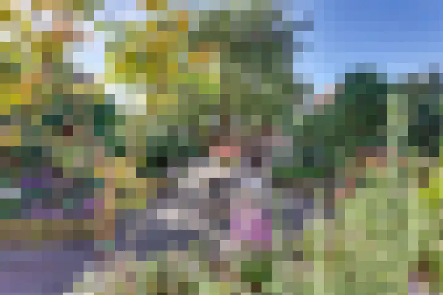 Schuttevaerstraat 7 Meppel thumbnail 6