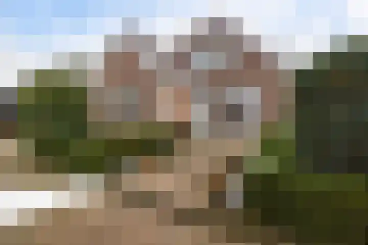 Schuttingslaan 67 Emmer-Compascuum thumbnail 35