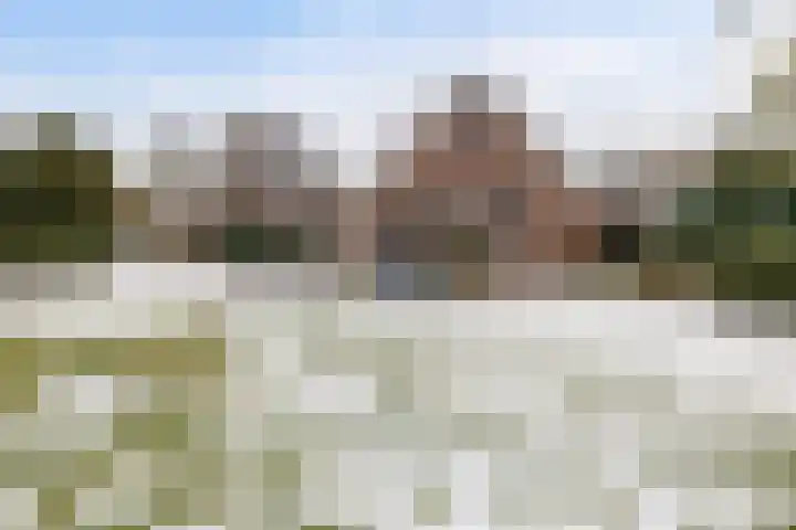Schuttingslaan 67 Emmer-Compascuum thumbnail 36