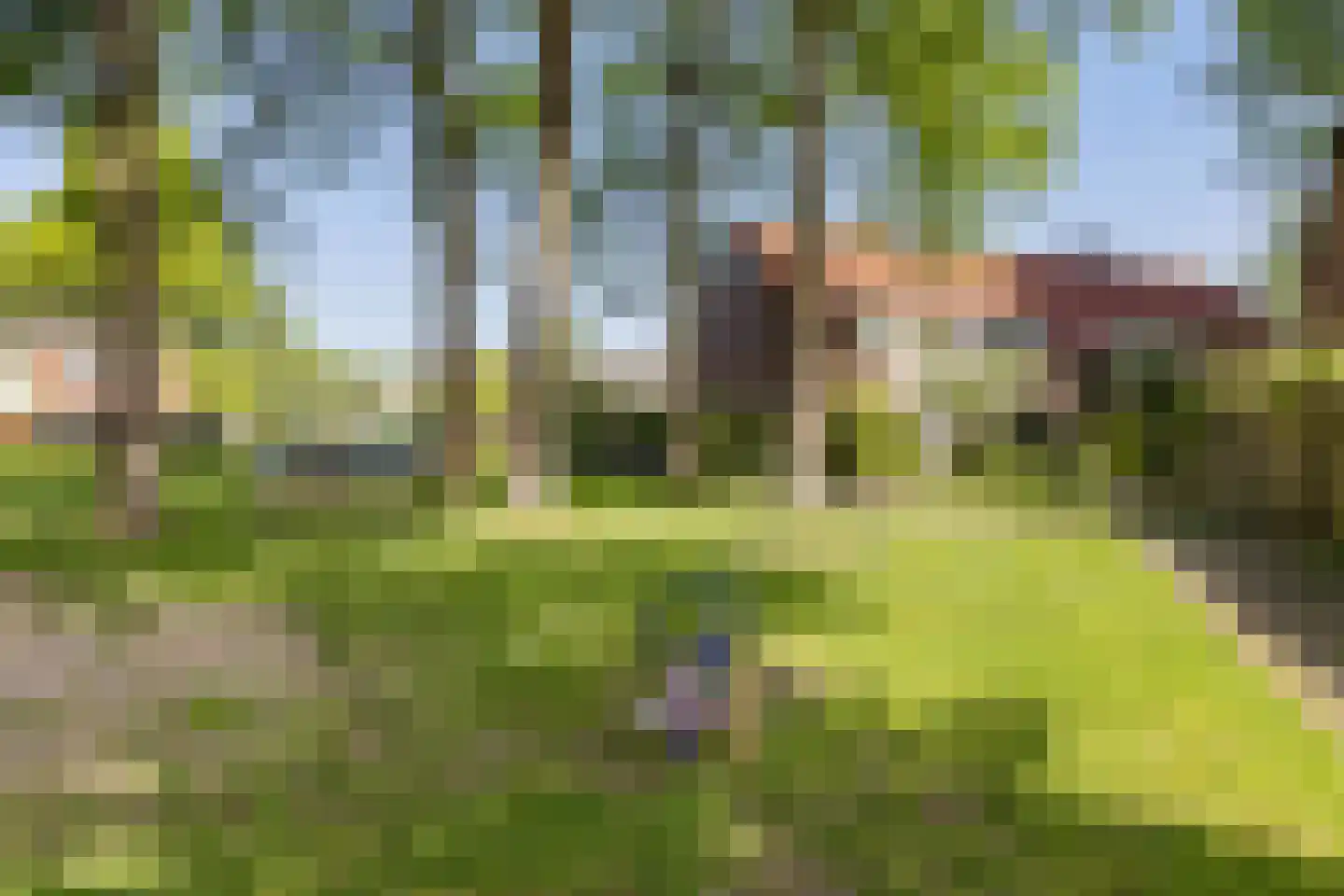 Schuur 110 Drachten thumbnail 11