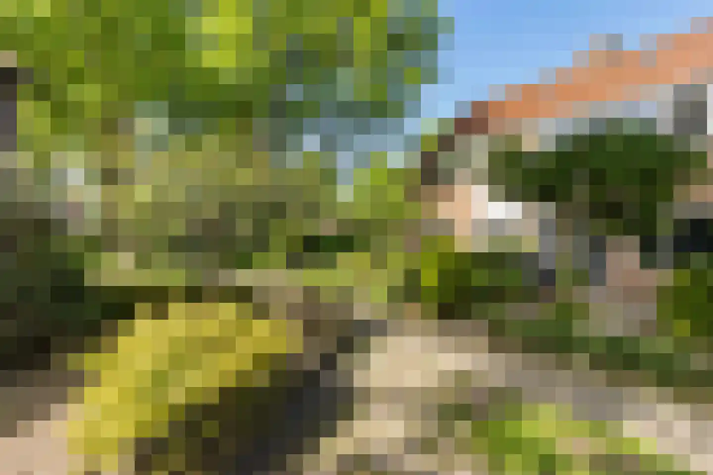 Schuur 110 Drachten thumbnail 16