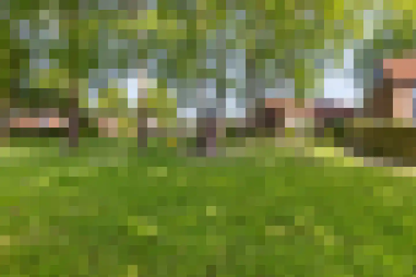 Schuur 110 Drachten thumbnail 17