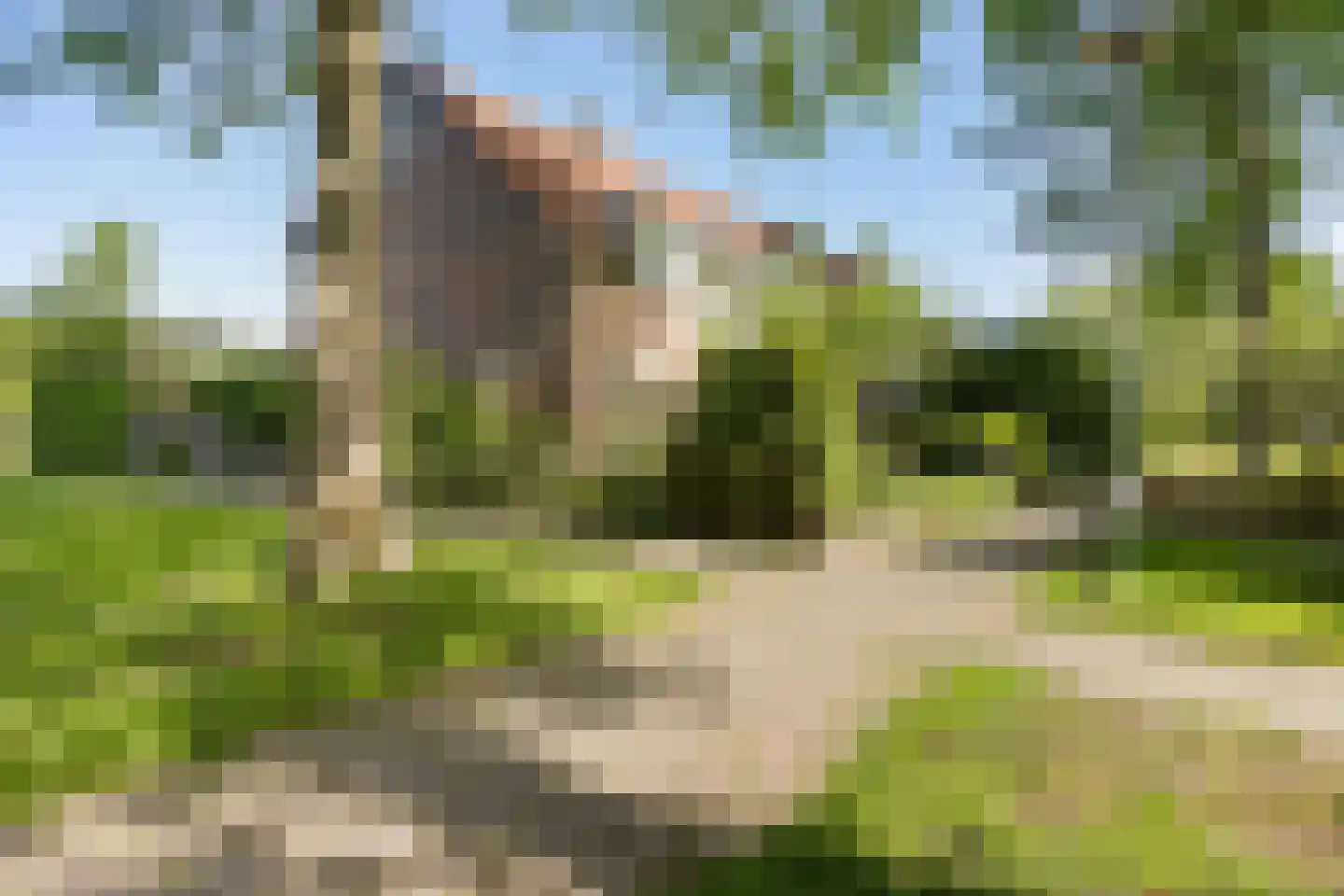 Schuur 110 Drachten thumbnail 18
