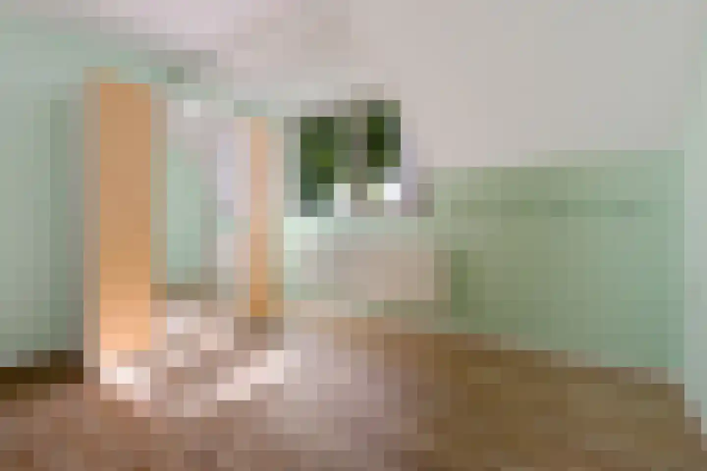 Schuur 110 Drachten thumbnail 33