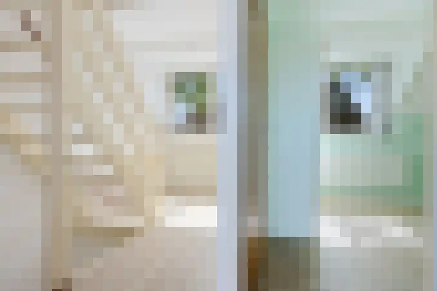 Schuur 110 Drachten thumbnail 39
